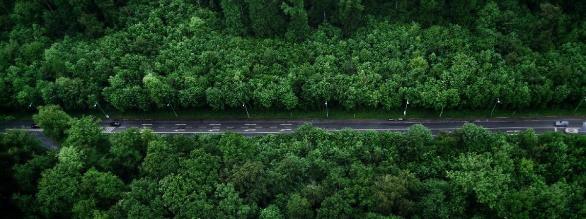 Beneficios del transporte en grupo para el medio ambiente