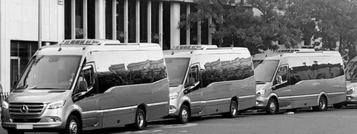 Visitar la Sierra de Madrid en grupo en un autobús de lujo